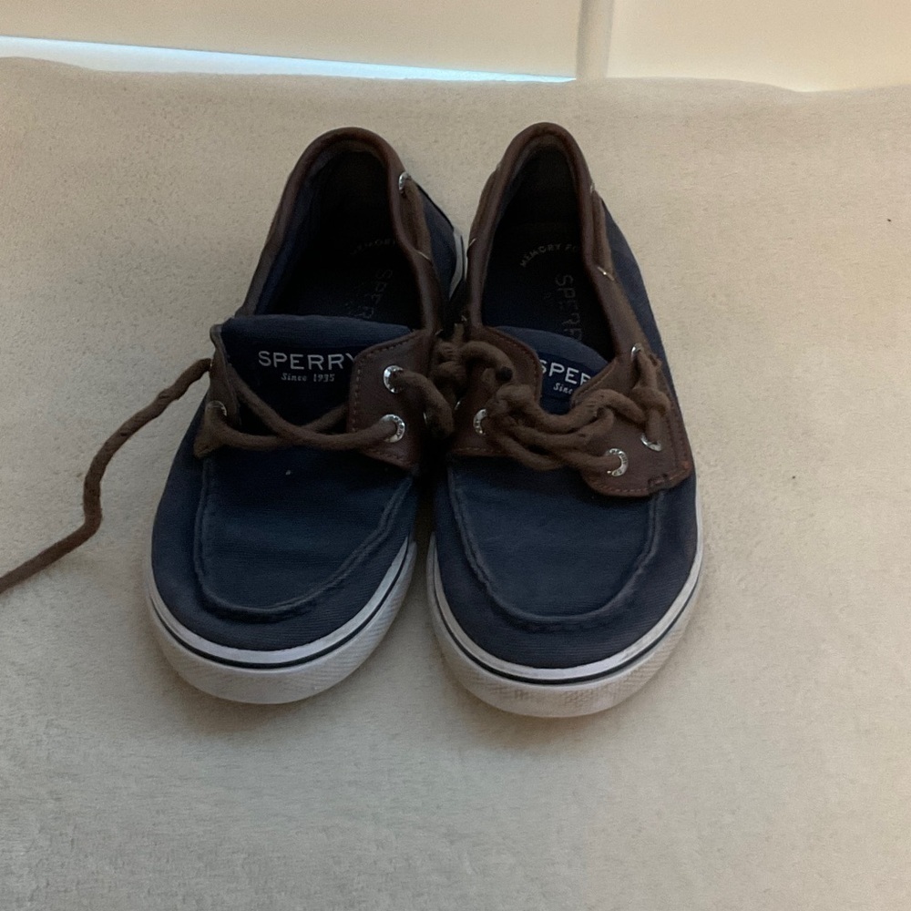 Sperry Men's Navy and Brown Boat Shoes